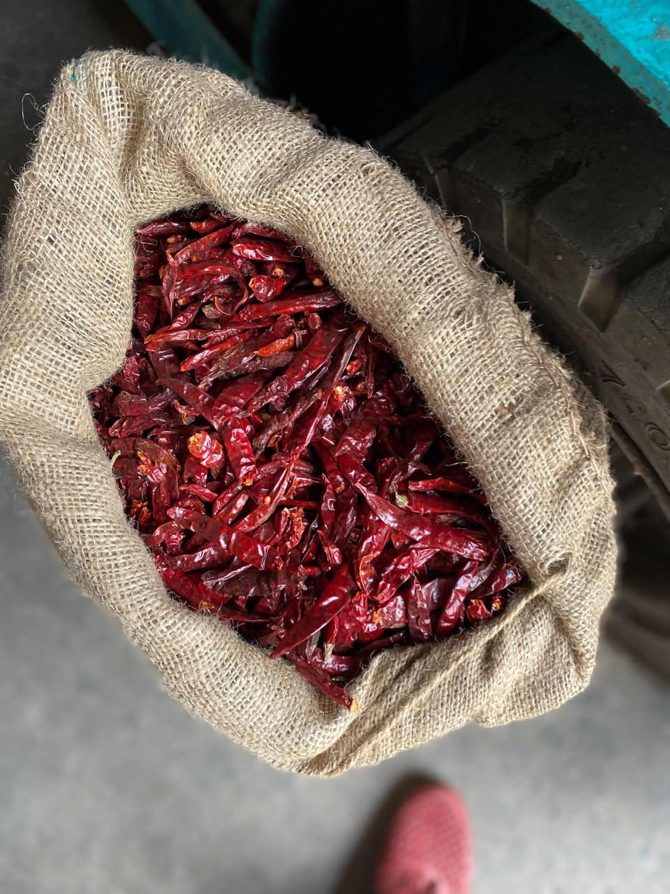Dried red chillies in a jute sack